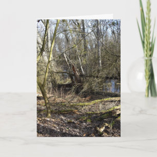 Tarjeta Naturaleza de los fondos marinos