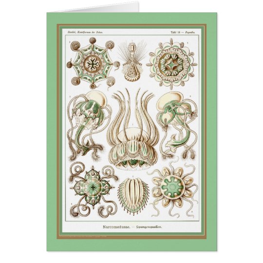 Tarjeta Naturaleza del der de Ernst Haeckel - de