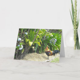 Tarjeta Naturaleza en blanco del gallo