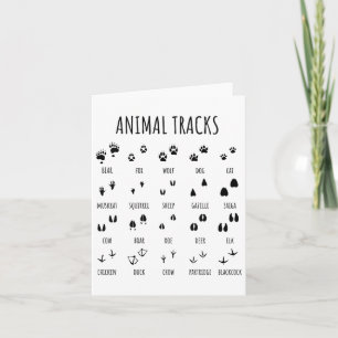 Tarjeta Naturaleza Explorer Seguimiento De Animales Tee Pa
