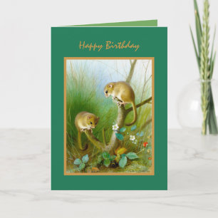Tarjeta Naturaleza Vida Salvaje Animales Felices Cumpleaño