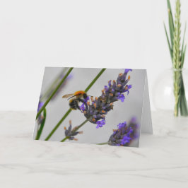 Tarjeta Naturas trabajadores maravillosos