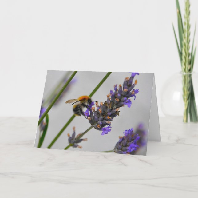 Tarjeta Naturas trabajadores maravillosos (Anverso)