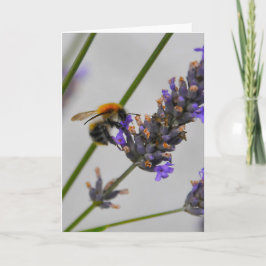 Tarjeta Naturas trabajadores maravillosos