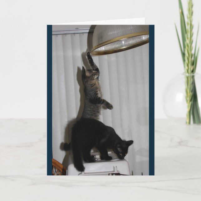 Tarjeta Naughty Kitty Birthday Card (Anverso)