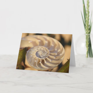 Tarjeta Nautilus