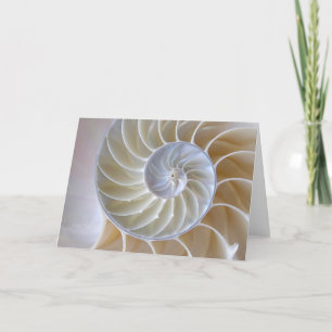 Tarjeta Nautilus Seashell  Espiral dorada