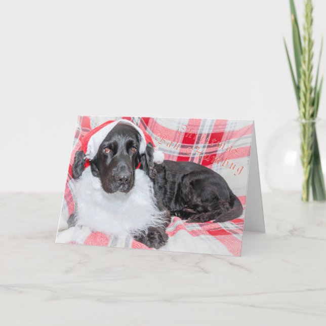 Tarjeta Navidad Bah Humbug (Anverso)