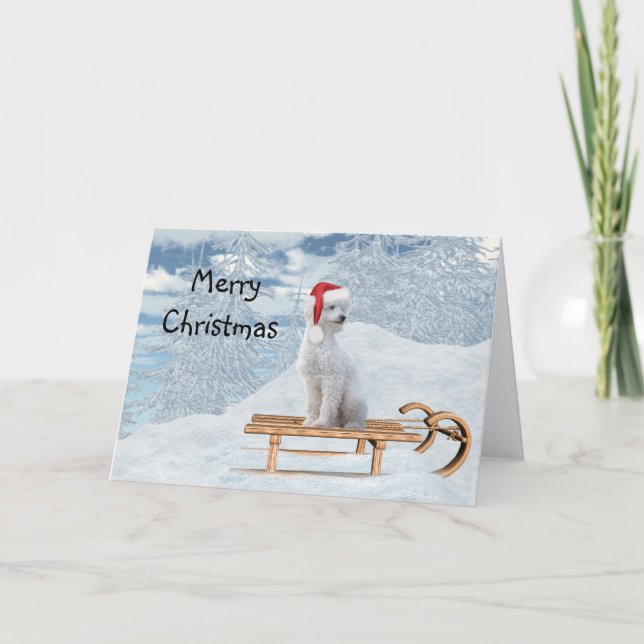 Tarjeta Navidad Caniche Blanco (Anverso)