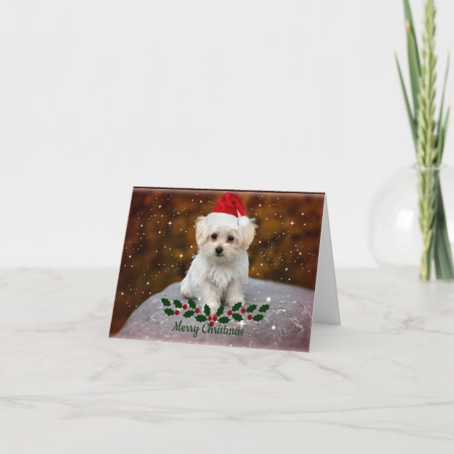 Tarjeta Navidad de cachorro maltés (Anverso)