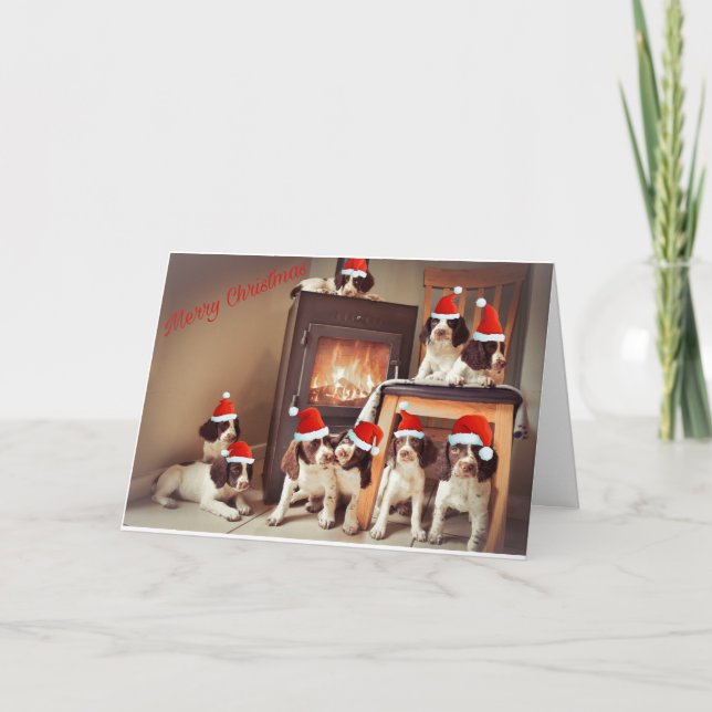 Tarjeta Navidad de cachorro Springer (Anverso)