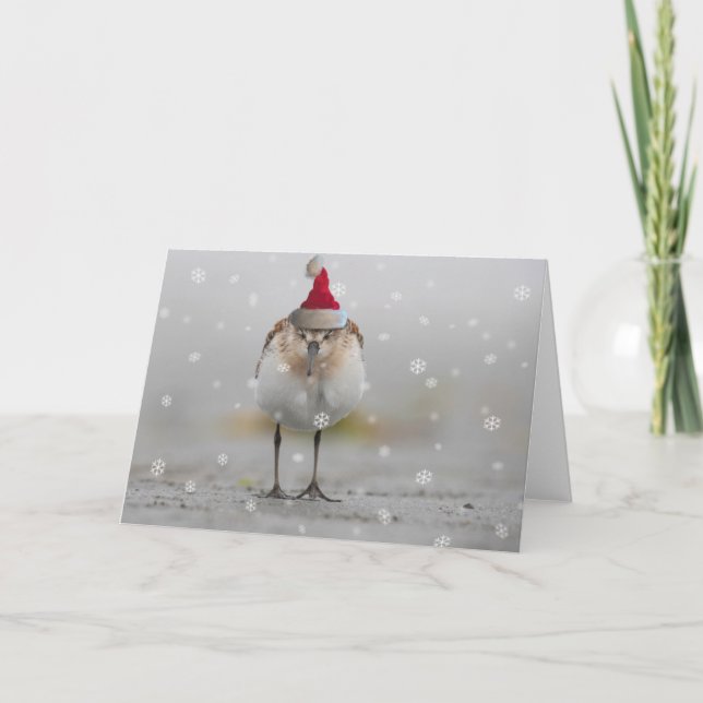 Tarjeta Navidad de los Playeros Dormilones (Anverso)