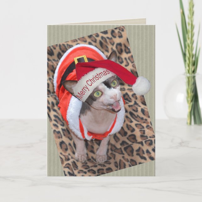 Tarjeta Navidad de Ninja Santa del gato de Sphynx (Anverso)