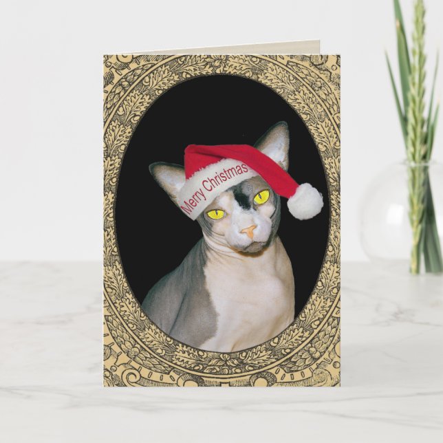 Tarjeta Navidad de Santa del gato de Sphynx (Anverso)