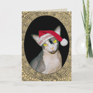 Tarjeta Navidad de Santa del gato de Sphynx
