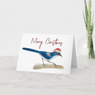 Tarjeta Navidad de Scrub Jay