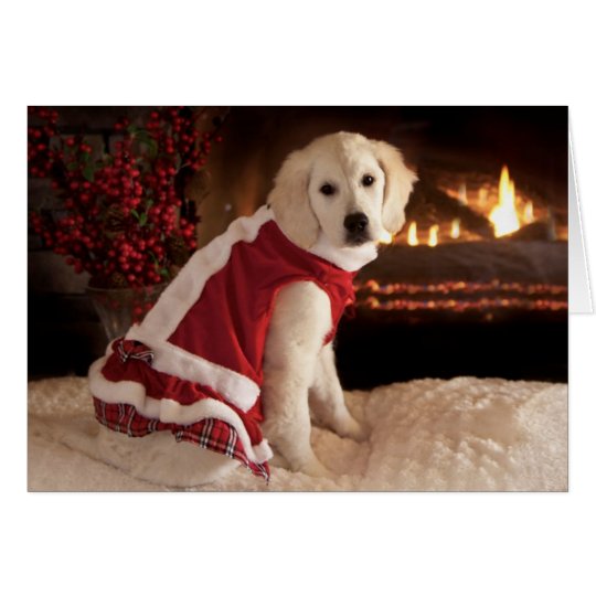 Tarjeta Navidad del perrito del golden retriever y Años