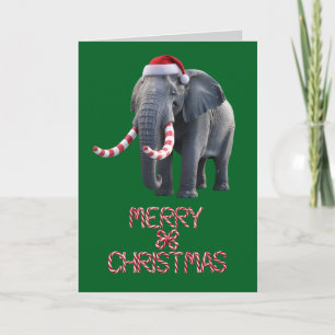 Tarjeta Navidad divertida del elefante de la festividad
