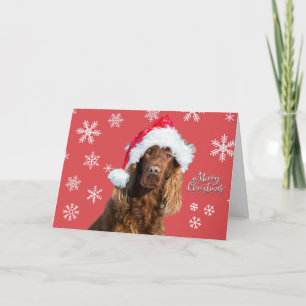 Tarjeta Navidad divertida perro alegre en sombrero de Sant