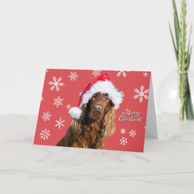 Tarjeta Navidad divertida perro alegre en sombrero de Sant (Anverso)