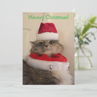 Tarjeta Navidad gatuna