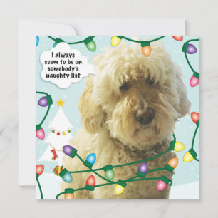 Tarjeta Navidad Goldendoodle, Diversión Doodle