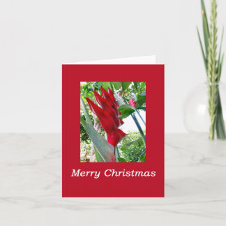 Tarjeta Navidad hawaiana