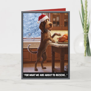 Tarjeta Navidad Hilarante del Spinone Italiano