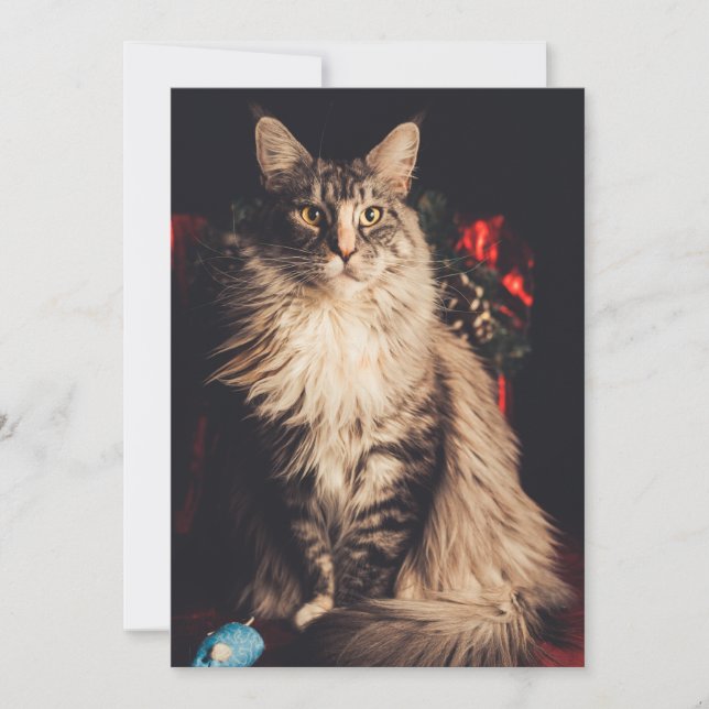 Tarjeta navidad Smilla V2 (Anverso)