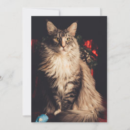 Tarjeta navidad Smilla V2