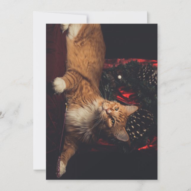 Tarjeta navidad Tarzan V1 (Anverso)