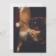 Tarjeta navidad Tarzan V1