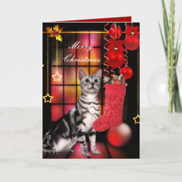 Tarjeta Navidad Xmas Gato