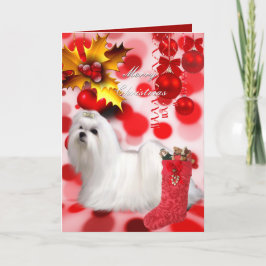 Tarjeta Navidad Xmas Perro Cachorro Maltés Corazon