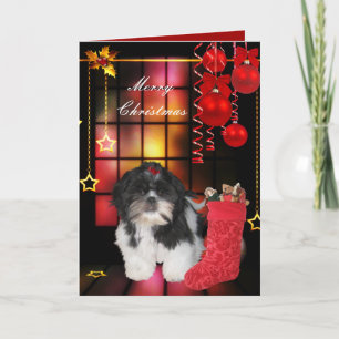 Tarjeta Navidad Xmas Perro Shitzu Cachorro