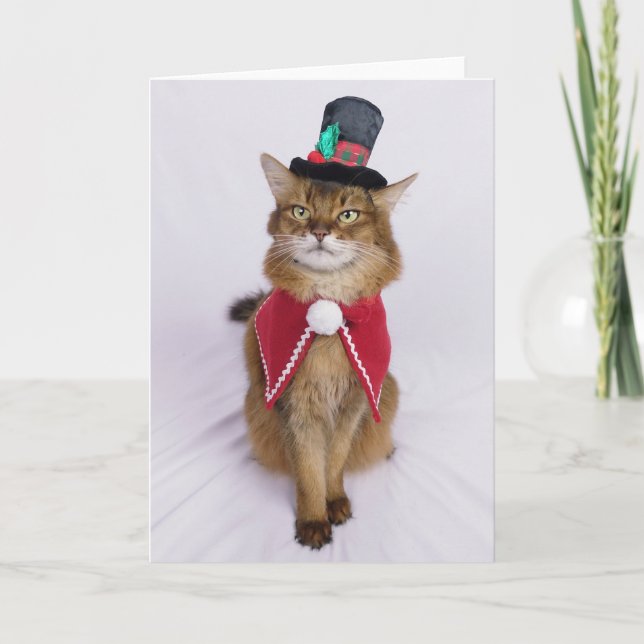 Tarjeta Navidades Caroler gato somalí (Anverso)