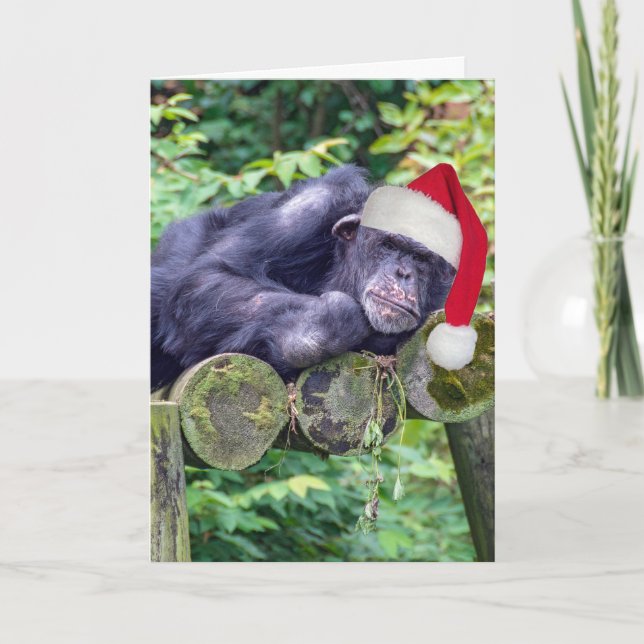 Tarjeta Navidades Chimpanzee con un Santa Hat (Anverso)