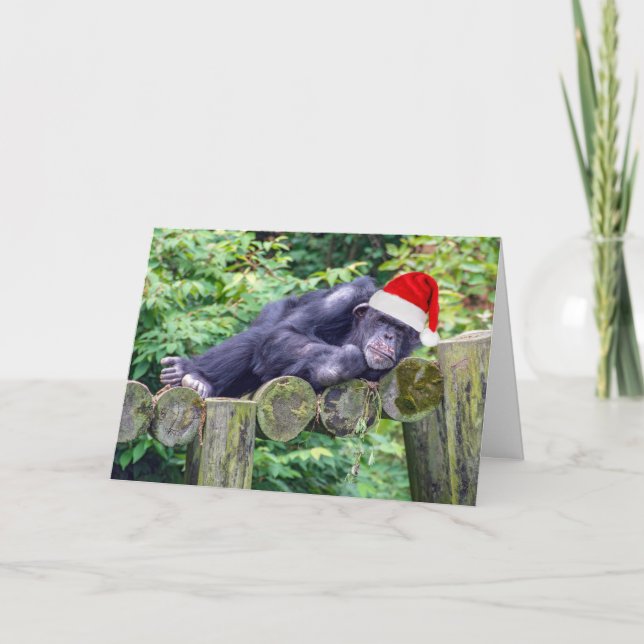 Tarjeta Navidades Chimpanzee con un Santa Hat (Anverso)