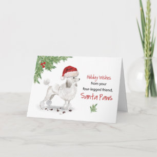 Tarjeta Navidades de caniche blanco de perro en un gracios