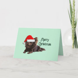 Tarjeta Navidades de Chihuahua con chocolate de pelo largo