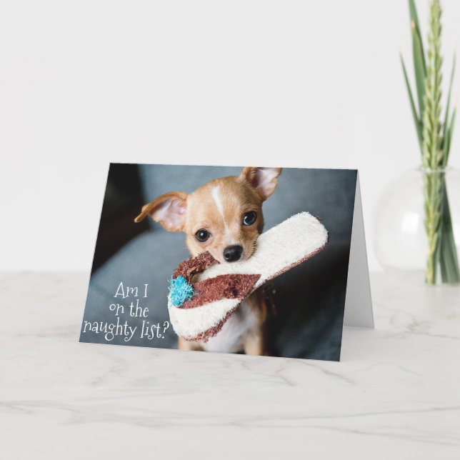 Tarjeta Navidades de chihuahua de cachorro chiquito, de pe (Anverso)