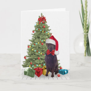 Tarjeta Navidades de Chocolate Lab