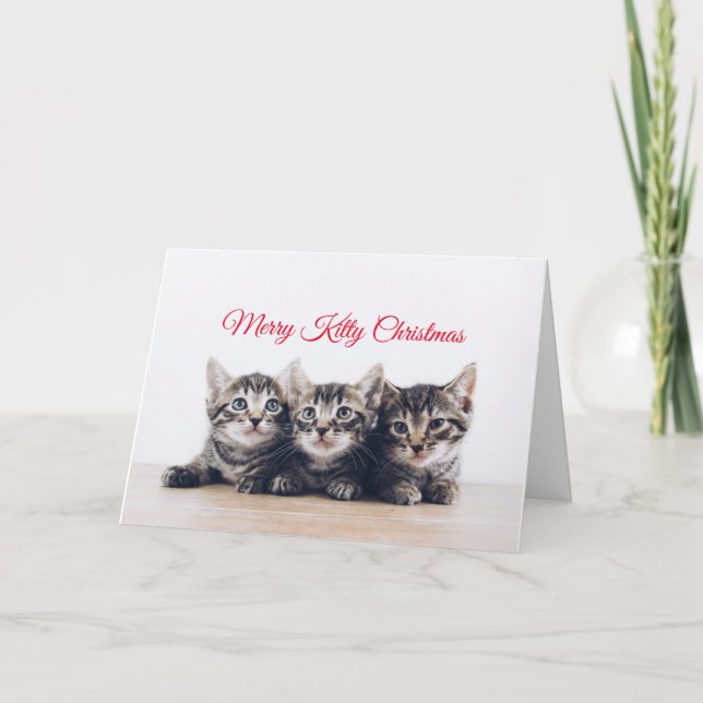 Tarjeta Navidades de Cute Kittens (Anverso)