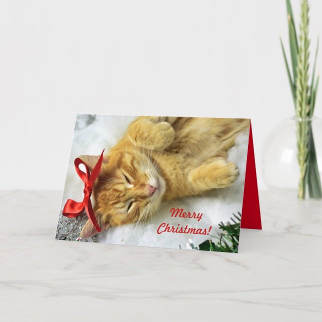 Tarjeta Navidades de gatos de Tabby Naranja personalizado (Anverso)