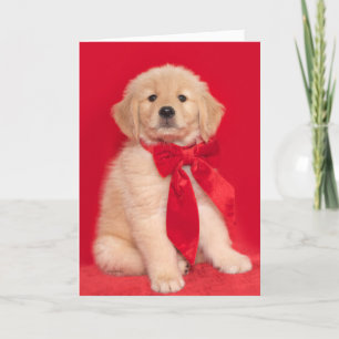 Tarjeta Navidades de Golden Retriever Puppy Merry Woofin