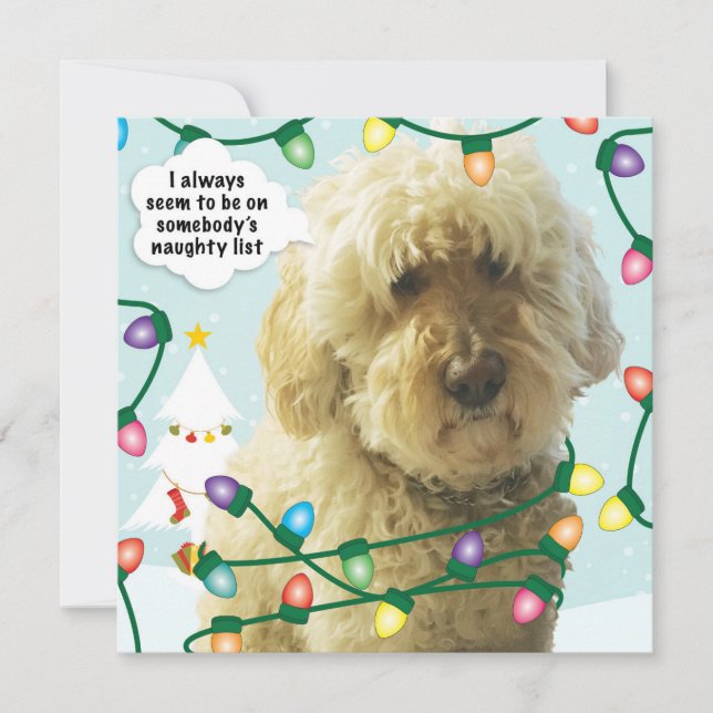Tarjeta Navidades de Goldendoodle, Doodle Fun (Anverso)