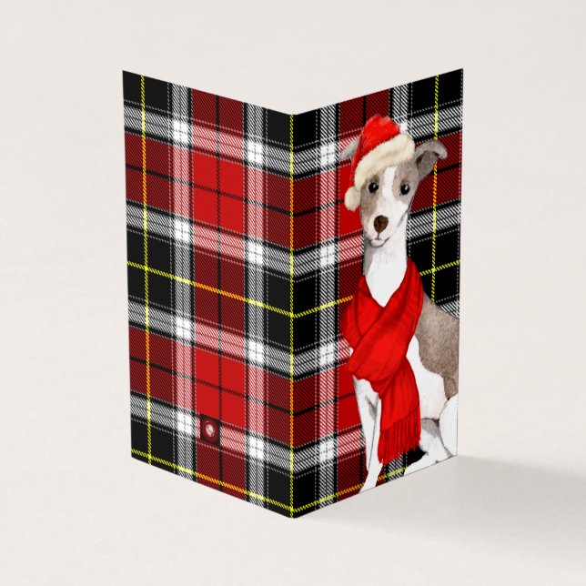 Tarjeta Navidades de Greyhound italianos en festividad roj (Exterior)