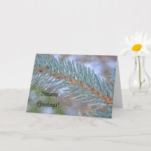 Tarjeta Navidades de la escena de la nieve de ramas de Pin