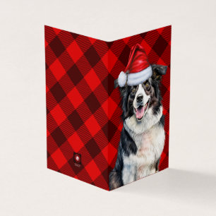 Tarjeta Navidades de los Collie Fronterizo Perro Red Buffa