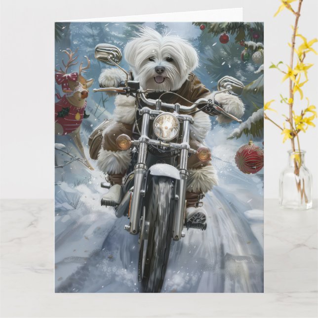 Tarjeta Navidades de motocicletas Coton De Tulear (flor amarilla)